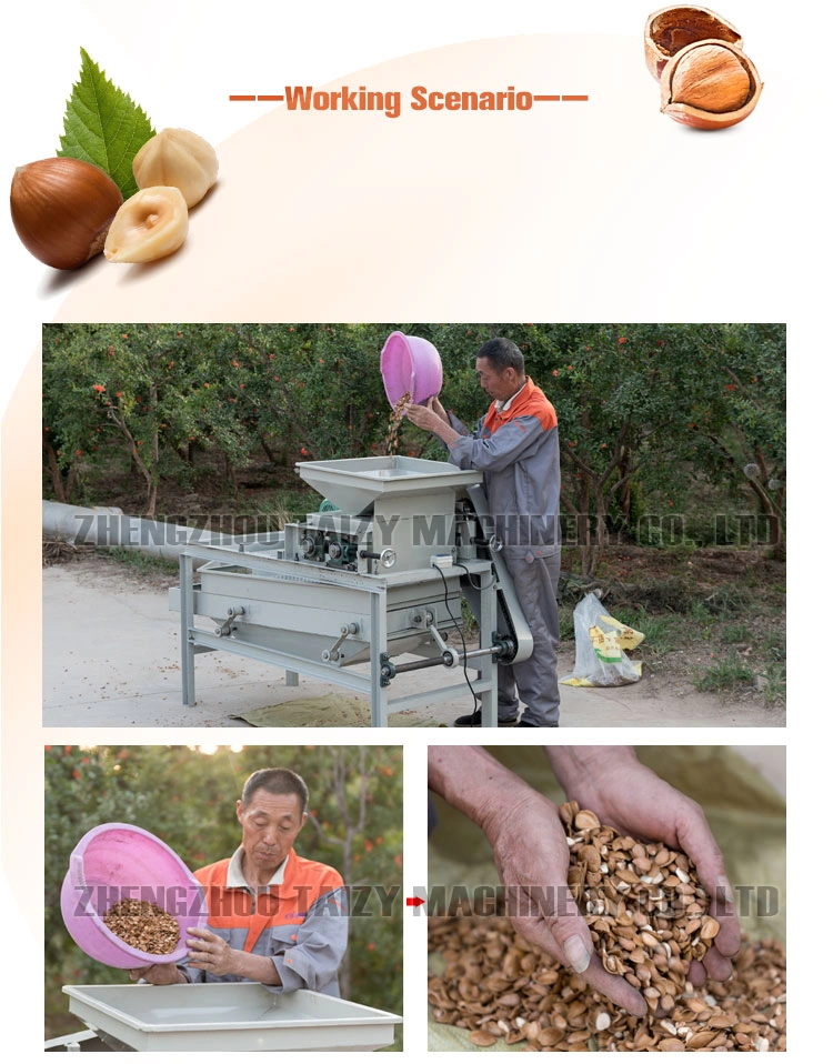 Hot Sale Hazelnut Pecan Nuts Dehulling Cracking Nut Huller Cracker Breaking Almond Shelling Machine