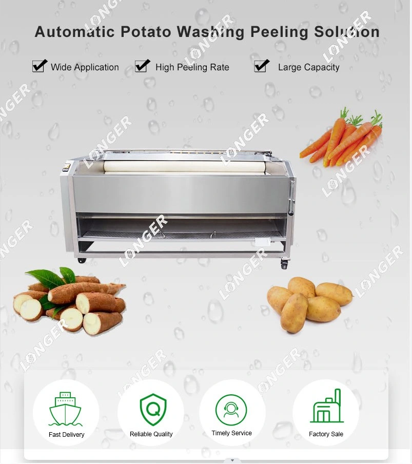 Automatic Vegetable Cassava Cleaning Peeling Seashells Fish Washer Machinery Fruit Lemon Carrot Brush Ginger Washing Machine