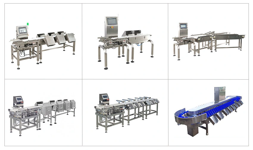 Jindu Machine Fish Sorting and Grading Weighing Scales Machinery