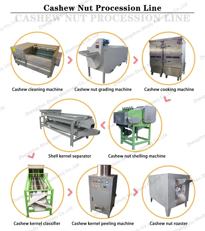 Cashew Nut Shelling Nuts Roaster Machine Processing Machines