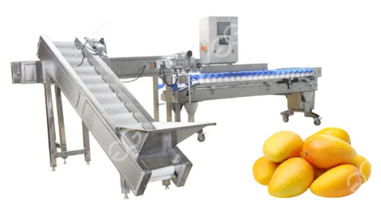 Машина для сортировки фруктов из нержавеющей стали, яблоко, апельсин, авокадо, груша, машина для сортировки продуктов, машина для сортировки фруктов по весу