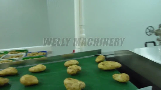 Китайская машина для обработки косточек и косточек сливы абрикосовых фруктов