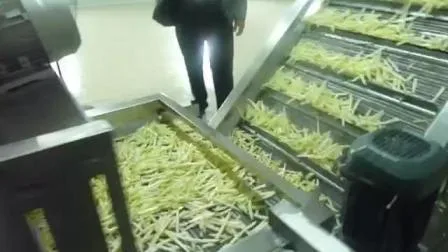 Полностью автоматическая линия по производству банановых ломтиков/картофельных чипсов/замороженного картофеля фри