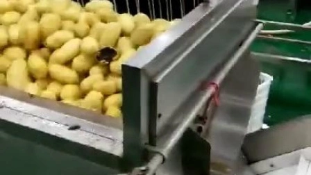 Автоматическая машина для очистки овощей и фруктов, 1200 кг/ч