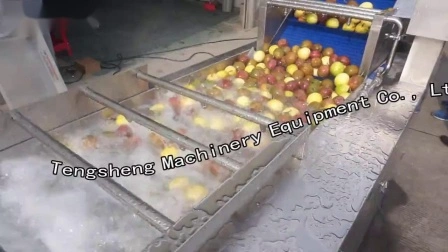 Автоматическая сортировочная машина для овощей, фруктов, яблок, Ts-Fs250
