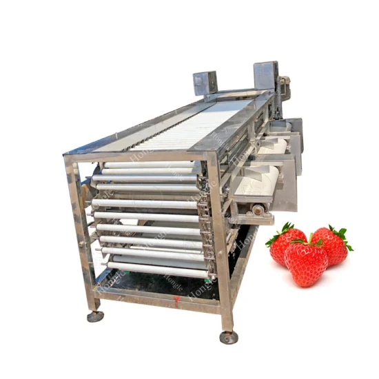 Заводская цена Коммерческая автоматическая машина для сортировки томатов Longan Lychee Corer для фруктов