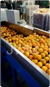Автоматическая машина для сортировки фруктов, яблок, авокадо, лимона, апельсина, персиков