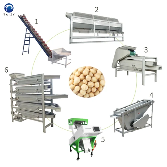  Коммерческая машина для сортировки грецких орехов макадамия для раскалывания орехов.  Машины для переработки орехов